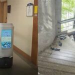 The Mysterious Case of the “Robot Suicide” in South Korea